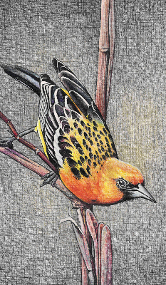 Rolgordijn voor het raam Een vogel op een tak