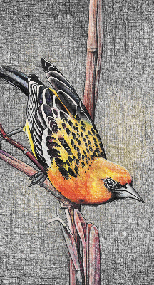 Rolgordijn voor het raam Een vogel op een tak