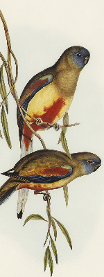 Rolgordijn verduisterend Twee vogels op een tak