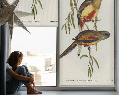 Rolgordijn verduisterend Twee vogels op een tak