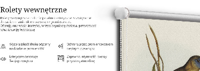 Rolgordijn verduisterend Twee vogels op een tak