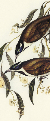 Rolgordijn voor het raam Vogels op een boom