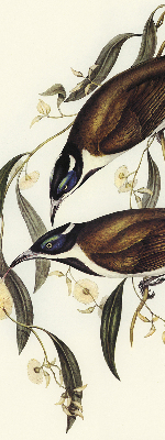 Rolgordijn voor het raam Vogels op een boom