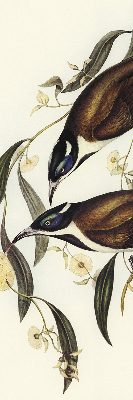 Rolgordijn voor het raam Vogels op een boom