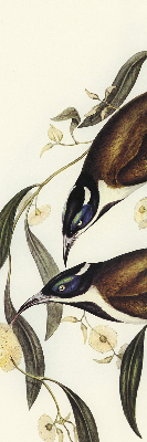 Rolgordijn voor het raam Vogels op een boom