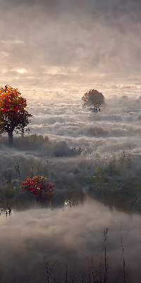 Rolgordijn verduisterend Bomen in de mist