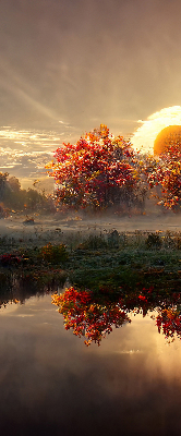 Rolgordijn voor het raam Zonsondergang achter de bomen