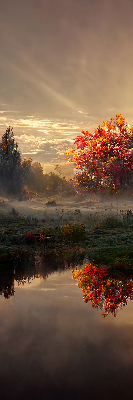 Rolgordijn voor het raam Zonsondergang achter de bomen