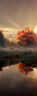 Rolgordijn voor het raam Zonsondergang achter de bomen