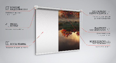 Rolgordijn voor het raam Zonsondergang achter de bomen