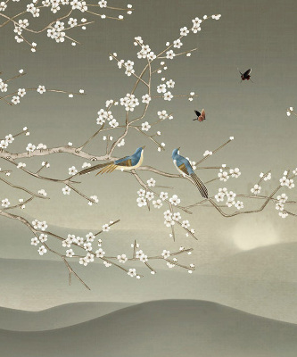 Rolgordijn voor het raam Vogels op een tak