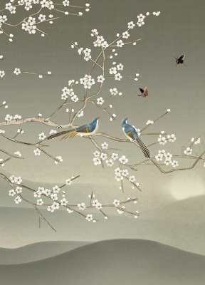 Rolgordijn voor het raam Vogels op een tak