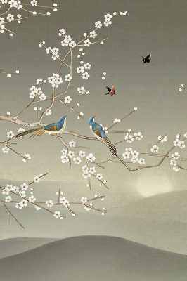 Rolgordijn voor het raam Vogels op een tak