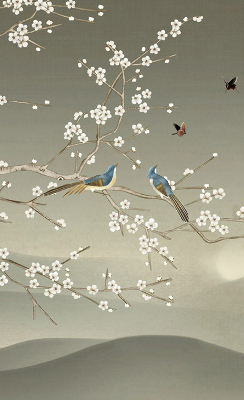 Rolgordijn voor het raam Vogels op een tak