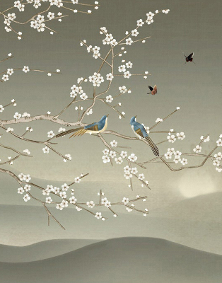 Rolgordijn voor het raam Vogels op een tak