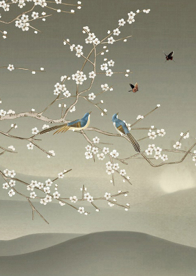 Rolgordijn voor het raam Vogels op een tak