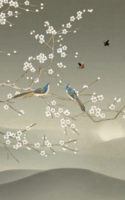 Rolgordijn voor het raam Vogels op een tak