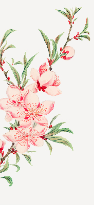 Rolgordijn verduisterend Roze bloem