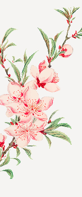 Rolgordijn verduisterend Roze bloem