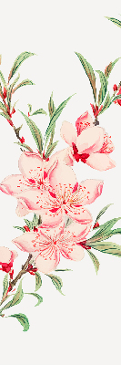 Rolgordijn verduisterend Roze bloem