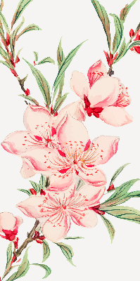 Rolgordijn verduisterend Roze bloem