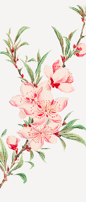 Rolgordijn verduisterend Roze bloem