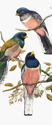 Rolgordijn voor het raam Vogels op de takken