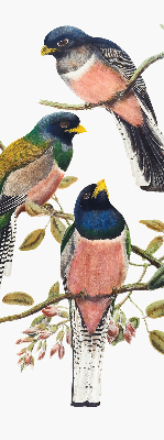 Rolgordijn voor het raam Vogels op de takken