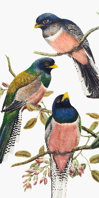 Rolgordijn voor het raam Vogels op de takken