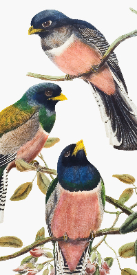 Rolgordijn voor het raam Vogels op de takken