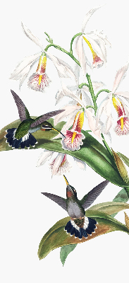 Rolgordijn verduisterend Vogels op een bloem