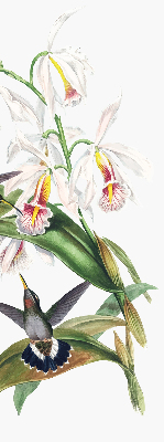 Rolgordijn verduisterend Vogels op een bloem