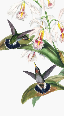 Rolgordijn verduisterend Vogels op een bloem