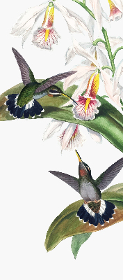 Rolgordijn verduisterend Vogels op een bloem