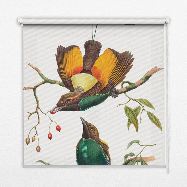 Rolgordijn voor het raam Vogels op een tak