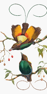 Rolgordijn voor het raam Vogels op een tak