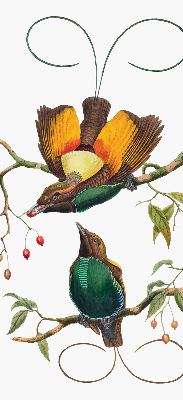 Rolgordijn voor het raam Vogels op een tak