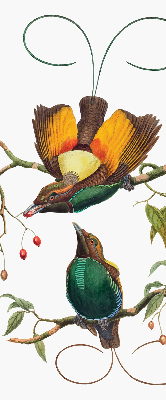 Rolgordijn voor het raam Vogels op een tak