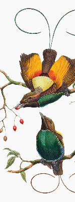 Rolgordijn voor het raam Vogels op een tak