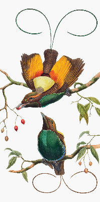 Rolgordijn voor het raam Vogels op een tak