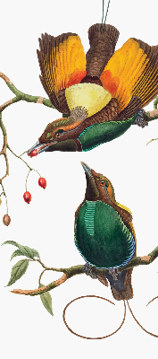 Rolgordijn voor het raam Vogels op een tak