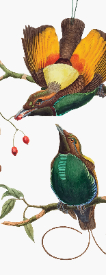 Rolgordijn voor het raam Vogels op een tak