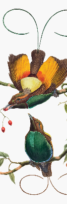 Rolgordijn voor het raam Vogels op een tak