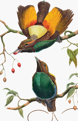 Rolgordijn voor het raam Vogels op een tak