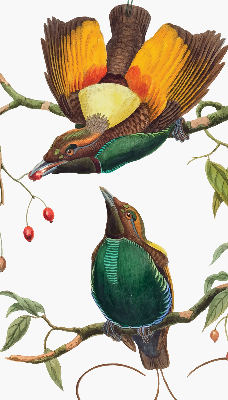 Rolgordijn voor het raam Vogels op een tak