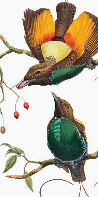 Rolgordijn voor het raam Vogels op een tak