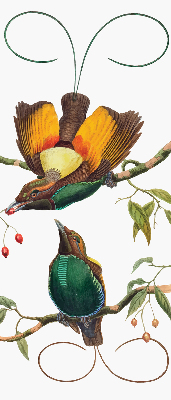 Rolgordijn voor het raam Vogels op een tak