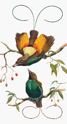 Rolgordijn voor het raam Vogels op een tak