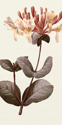 Rolgordijn verduisterend Vallende bloem