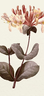 Rolgordijn verduisterend Vallende bloem